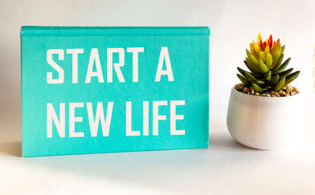 START OF A NEW LIFE, the text is written on a turquoise notebook and a white background, next to a cactus flower. Positiveの写真素材
