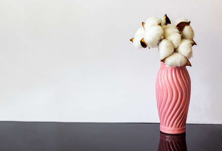 Decorative cotton heads stand in a pink vase on a white and black backgroundの写真素材
