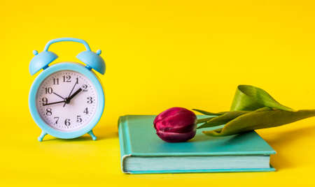 On a yellow background, an alarm clock, next to a book on which lies a tulip. Holiday concept