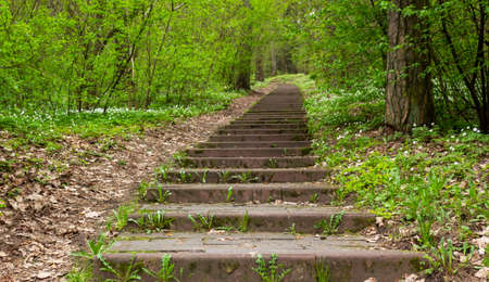 Stone staircase in early spring in the city park.の写真素材