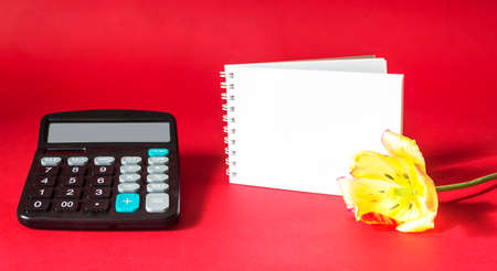 Calculator, notebook and tulip flower on a red and yellow background.の写真素材