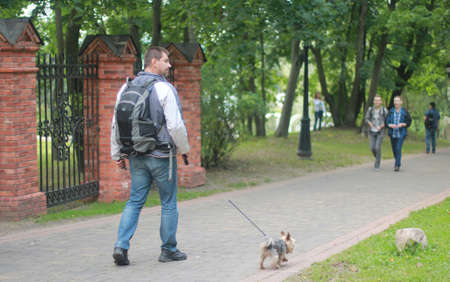 Minsk, Belarus - August 13, 2016 Loshitsa Park. Lonely man walks in the park with a small dog. Animals theme.のeditorial素材