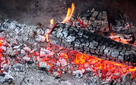 Burning logs in nature on a summer evening