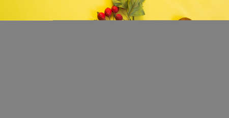 Notepad on a yellow background with a hawthorn branch and acorns and the phrase HAPPY Wednesdayの写真素材