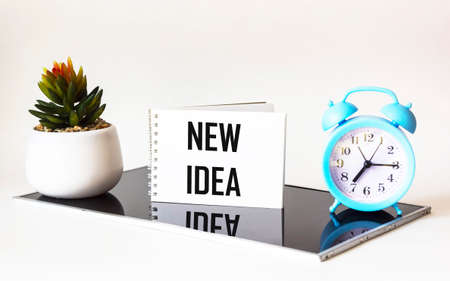 Notepad with the text new idea on a beautiful black and white background with a clock and a cactus flower.の写真素材