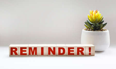 The word REMINDER written on a wooden block and on a white background with a cactus flower for your design, concept.の写真素材