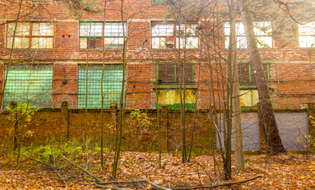 Autumn landscape with an abandoned building and surrounding trees. Autumn, death, abandonment, sadness concept.の写真素材