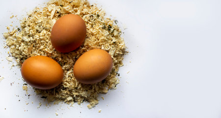 Organic chicken fresh eggs in the nest. On white background.