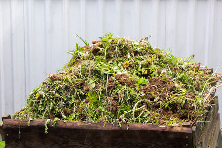Large wooden storage container filled with weeds, herbs close up