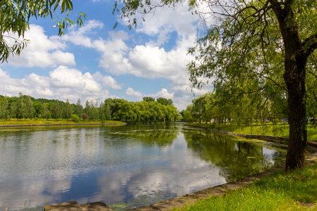 Lake in a European city. Small lake, green grass and trees