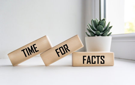 The text TIME FOR FACTS on wooden blocks on the background of a window with a flower