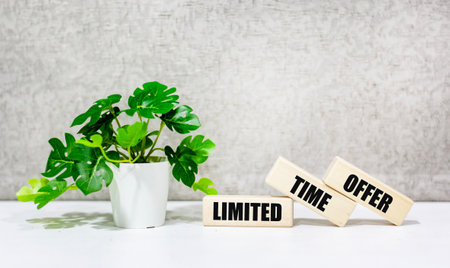 The text of the offer with a limited validity period on wooden blocks