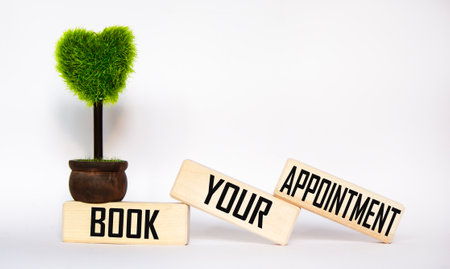 Book your appointment the text for the appointment on wooden blocks and a white background. The...