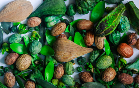 various spices and nuts of green and brown colorの写真素材