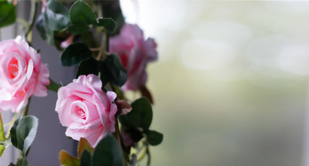 Pink roses in a corner floral arrangement on a blurred background of greenery