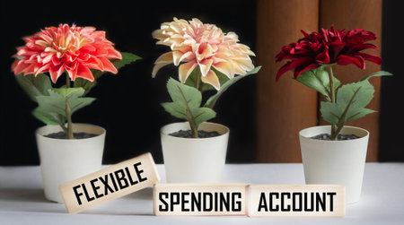 The flexible spending account is shown on the wooden blocks