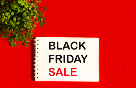 Black Friday sale on notepad and red background with green plantの写真素材