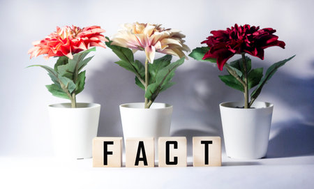 Business concept, wooden cubic block with the wordの写真素材