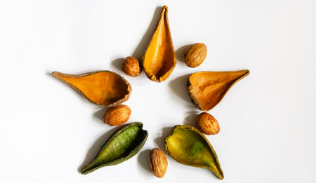 Walnut design. A place to copy