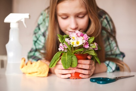 A girl sniffs a flower and cares for plants in her home, close-upの写真素材