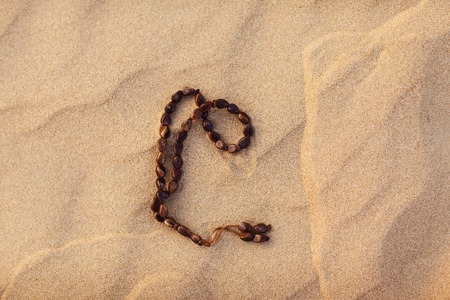 Rosary on the sand in the desert. Ramadan Kareemの写真素材