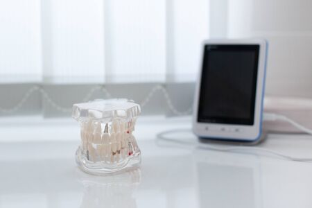 Model of artificial jaw on the table in the dental office