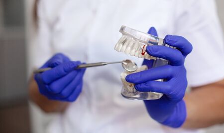 A dentist is holding a sample of jaw teeth in a dental office.の写真素材