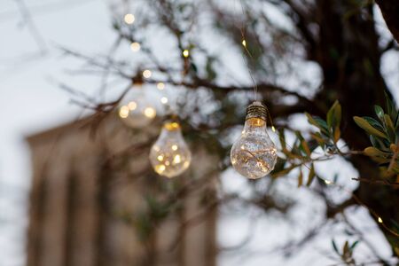 Street lamps hang on a tree in the streets of old Dubai