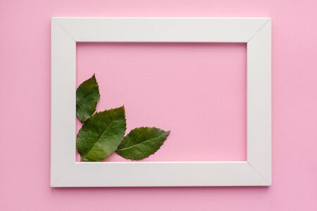 White frame, green leaves on a pink background. Postcard for Valentine's Day, women's day, mother's Day. With space for text. The view from the topの写真素材