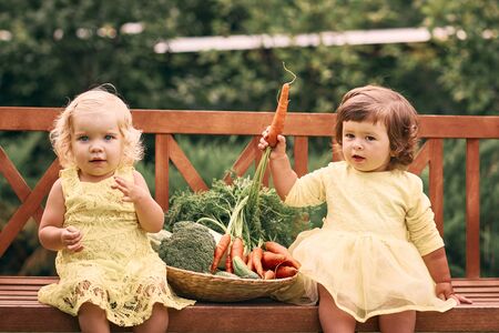 Two little girls in yellow dresses, barefoot, in a green garden are sitting on a bench next to a large basket of vegetables with cucumbers, carrots and broccoli. Healthy food, green vegetarian food.の写真素材