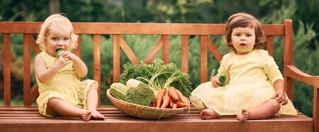 Two little girls in yellow dresses, barefoot, in a green garden are sitting on a bench next to a large basket of vegetables with cucumbers, carrots and broccoli. Healthy food.Long banner format.の写真素材