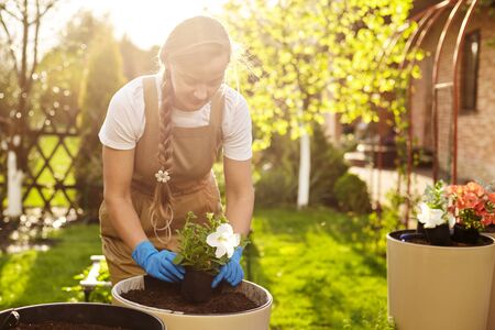 A young blonde gardener girl is transplanting flowers in the garden on a Sunny day. Transplanting plants in spring, garden decoration, gardeningの写真素材