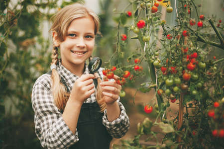 A beautiful little girl stands in a greenhouse with a crop, holds a magnifying glass in her hands...