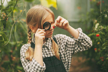 A beautiful little girl stands in a greenhouse with a crop, holds a magnifying glass in her hands and smiles cutely,の写真素材