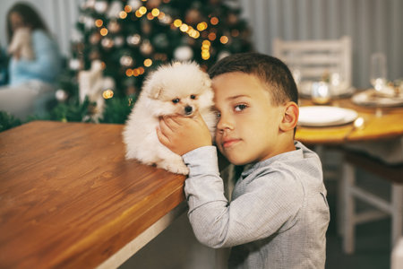 Cute boy playing with his new pet puppy. The boy is happy with a gift for Christmas and New year.の写真素材