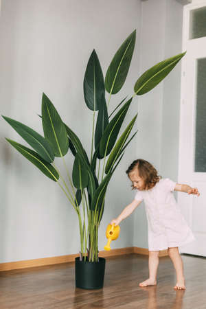 Little girl waters flowers at home, helps care for plantsの写真素材