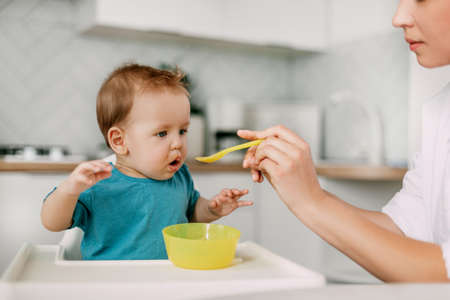 A young mother feeds her young son, who is sitting in a high baby feeding chair. Care, motherhood, childhoodの写真素材
