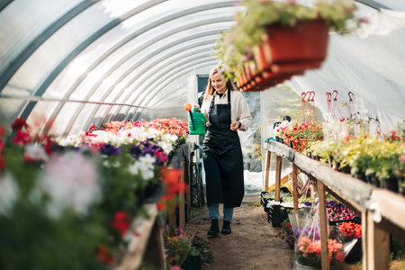 A smiling female gardener works in a greenhouse and enjoys hobbies, tending flowers. An entrepreneur prepares plants for saleの写真素材