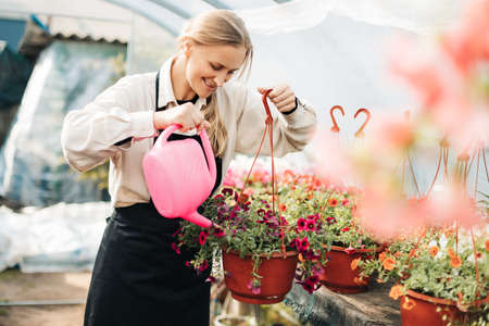 Professional girl gardener grows flowers in a greenhouse. Daily care of plants. Garden center, flower shopの写真素材