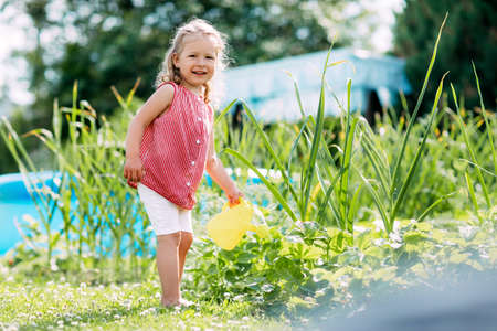 A little smiling girl is watering a strawberry bush in the garden from a childrens toy watering can. Childhood, sun, summer, gardeningの写真素材