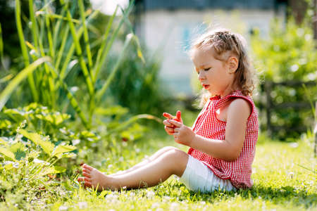 A cute baby girl is sitting on the lawn in the garden and eating fresh strawberries on a bright summer dayの写真素材