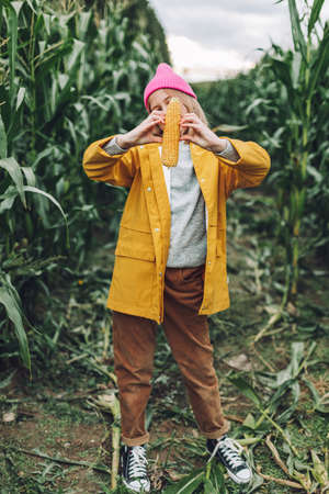 Funny little girl dressed in a yellow raincoat and a hot pink cap spoils and bites corn in a cornfieldの写真素材