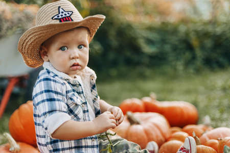 Portrait of a charming baby sitting on pumpkins in the garden or vegetable garden during the harvest on the eve of Halloween. A kid in a Halloween costumeの写真素材