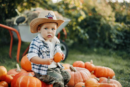 A little cowboy boy in a hat and a plaid shirt is sitting on a pile of pumpkins in the garden and holding a small pumpkin in his hands. Autumn, the time of harvestの写真素材