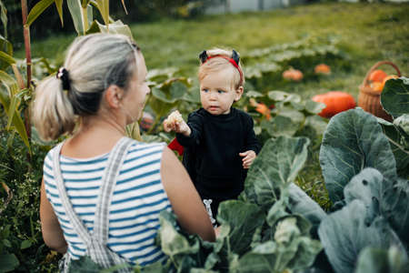 Mom and her little son in a devil costume play in the garden on Halloween eve. Mom dresses up her baby in a carnival costumeの写真素材