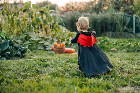 A charming kid in a devil costume and a raincoat sneaks around the garden. Halloween concept, carnival costume. Rear viewの写真素材