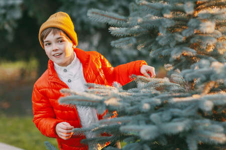 A charming boy walks in the park, happily looks out from behind the Christmas tree, chooses a...