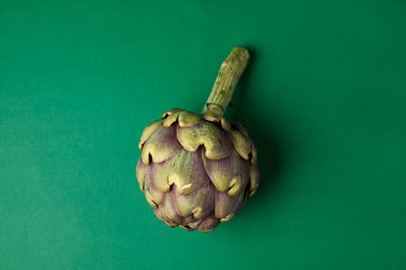 Fresh Artichoke on the green backgroundの写真素材