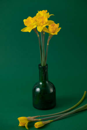 bouquet of yellow flowers in a vase on a backgroundの写真素材