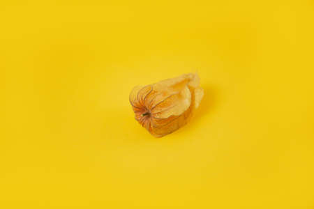 Juicy physalis fruit on yellow backgroundの写真素材